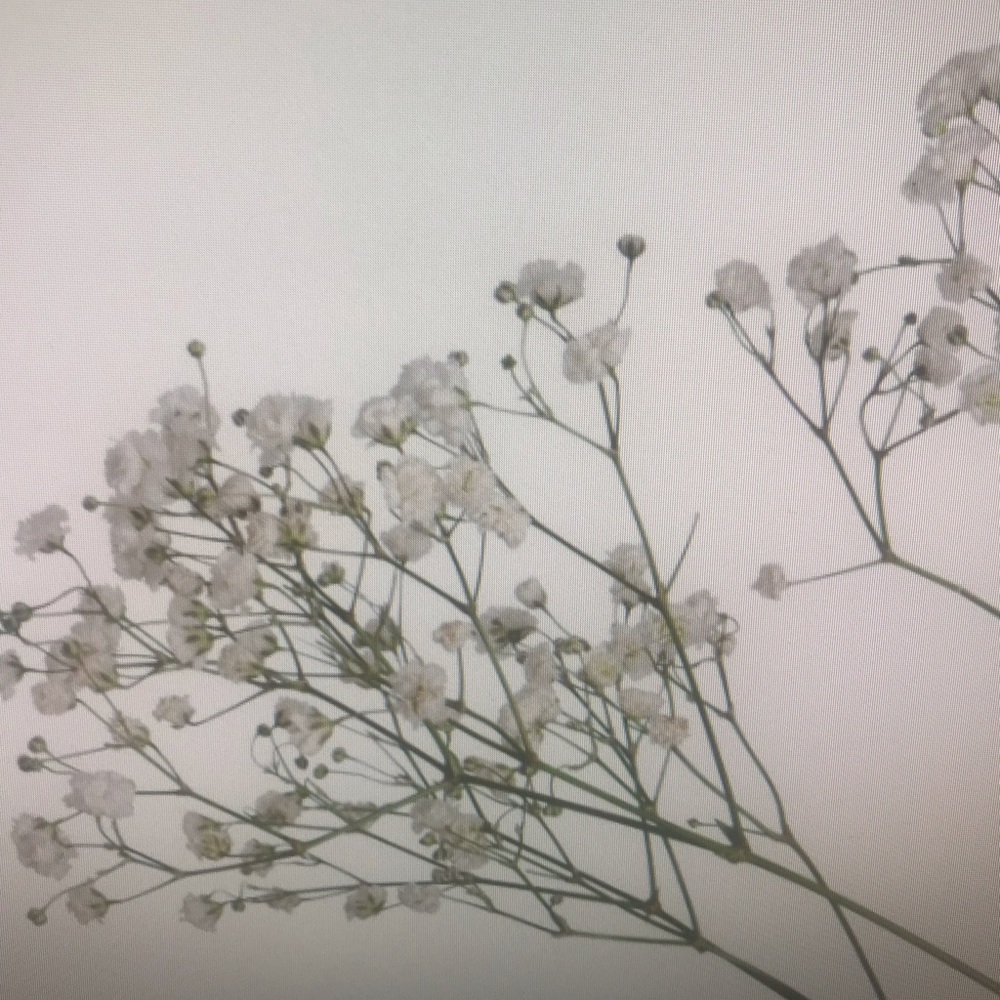 Meet your Posher, Diana